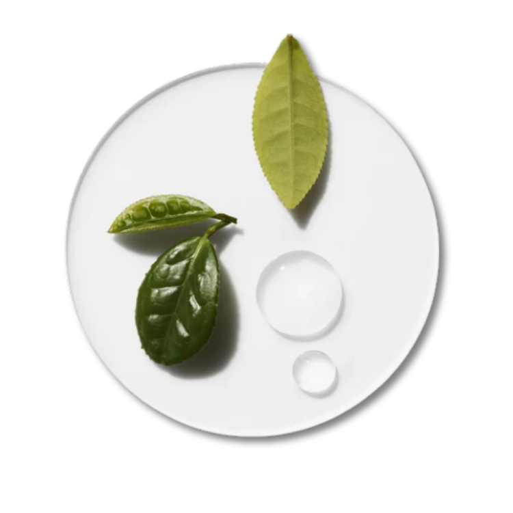 Moisture Surge Hydrating - Su Bazlı Nemlendirici Jel