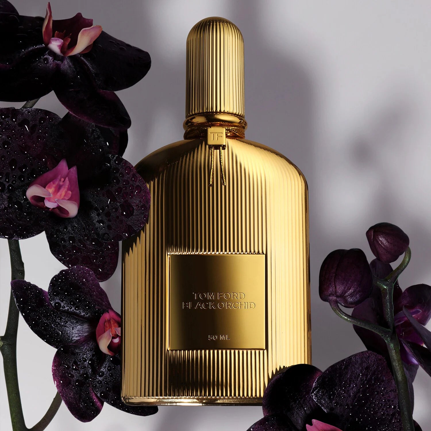 Black Orchid - Parfum