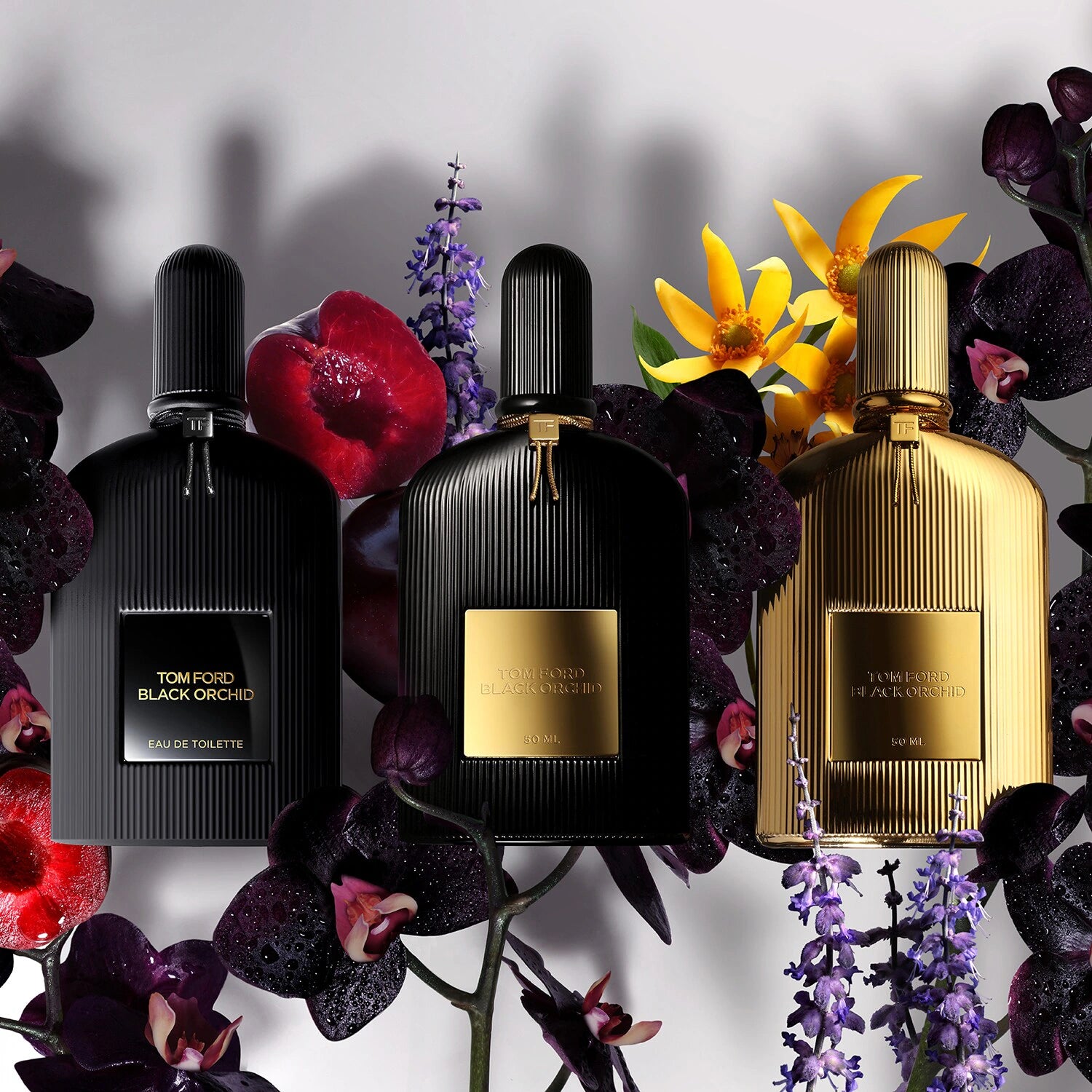 Black Orchid - Parfum