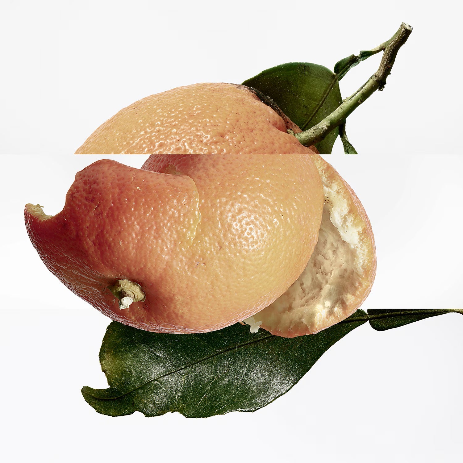 Eau des Merveilles - Eau de Toilette