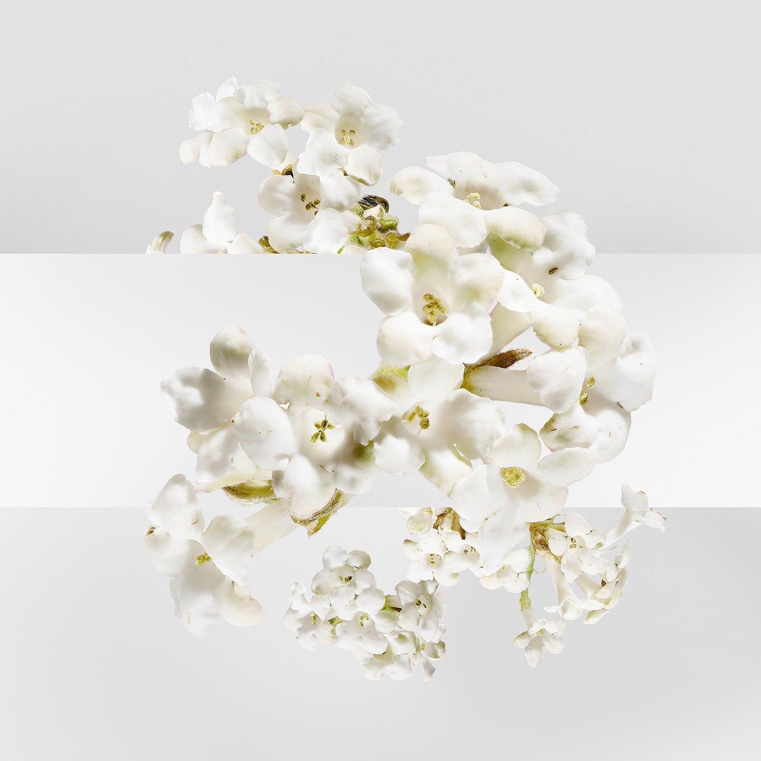 Un Jardin Sur La Lagune - Eau de Toilette