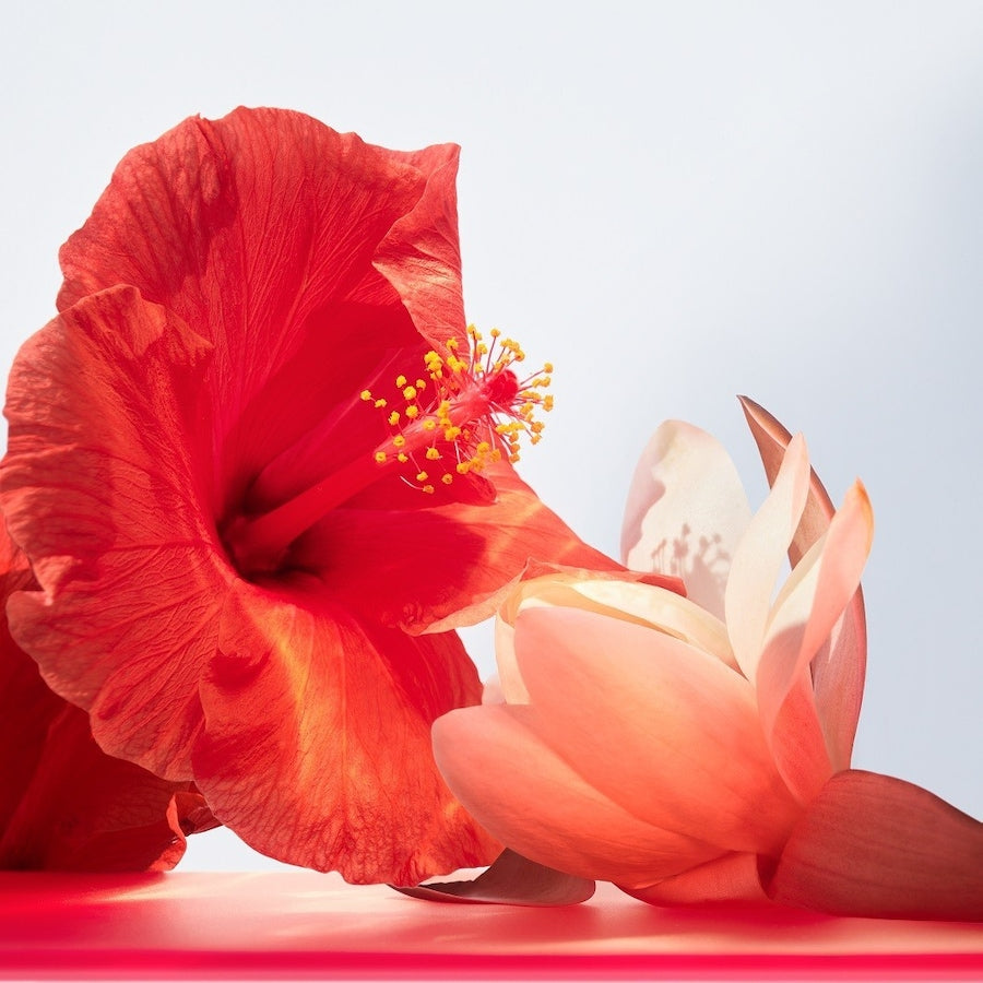 Omnia Coral Eau de Toilette