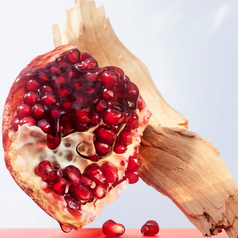 Omnia Coral Eau de Toilette