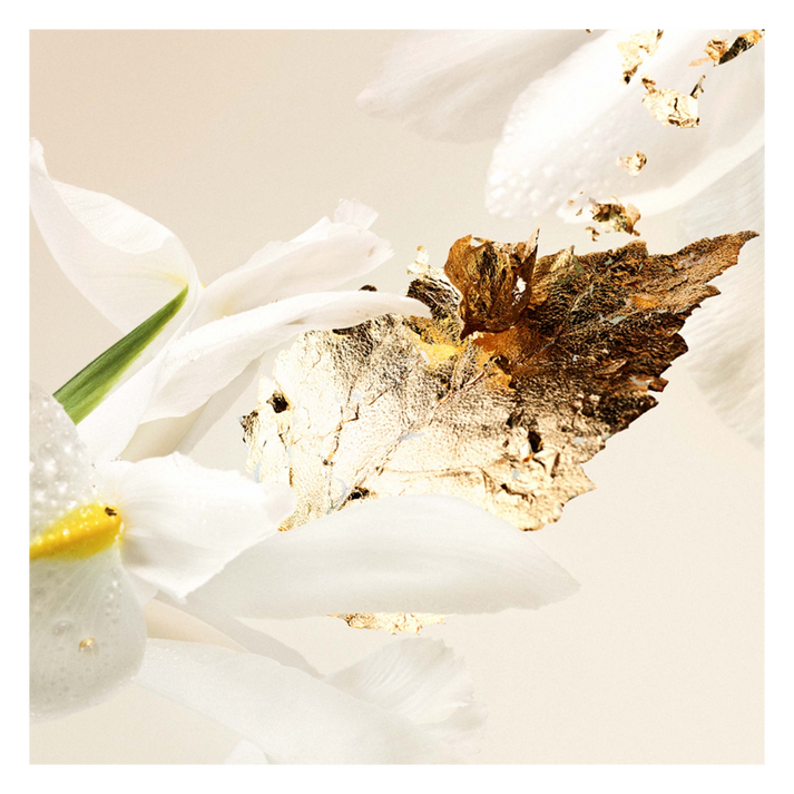 Splendida Patchouli Eau de Parfum