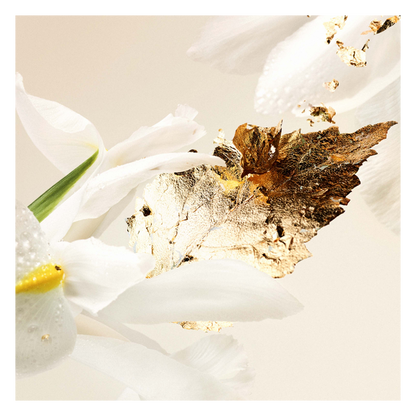 Splendida Patchouli Eau de Parfum