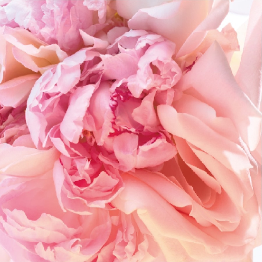 Rose Goldea Blossom Delight Eau De Toilette