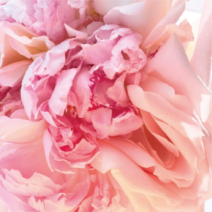 Rose Goldea Blossom Delight Eau De Toilette