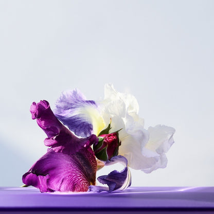 Omnia Amethyste Eau de Toilette