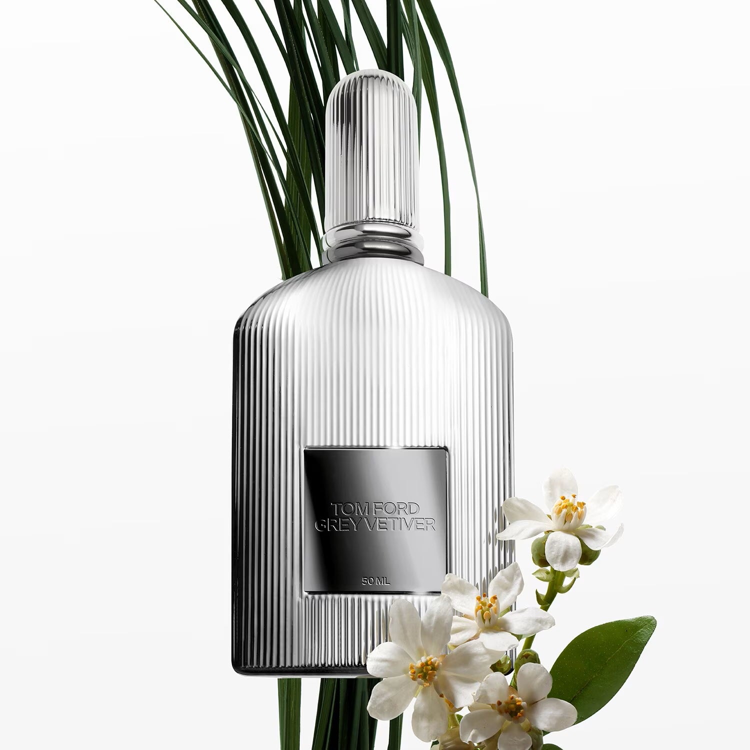 Grey Vetier - Parfum