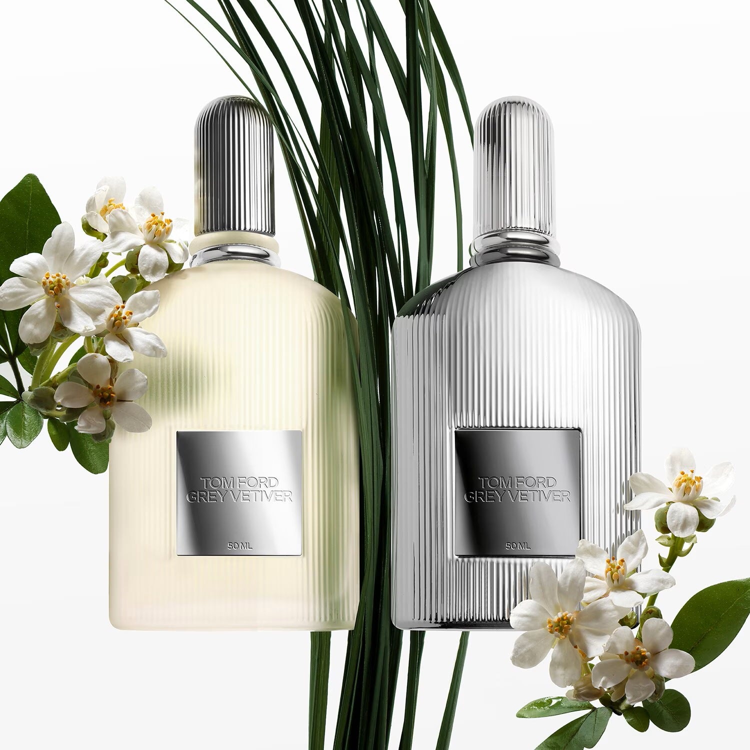 Grey Vetier - Parfum