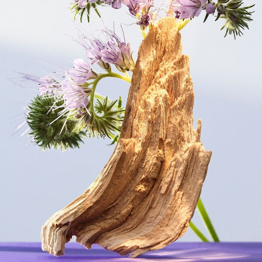 Omnia Amethyste Eau de Toilette